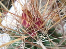 DSC09979
