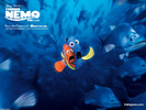 finding_nemo_004_800[1]