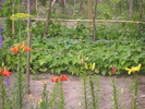 DSCI0841