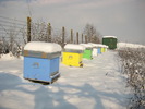 IMG_0028 (2)