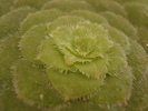 DSC09510