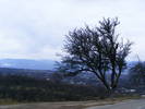DSCF7711