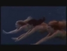 Swimming-season-3-photo-2-h2o-just-add-water-8202561-120-90