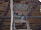 P1010037
