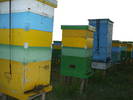 DSCF1318