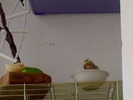 29-06-09_1534