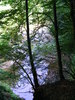 DSCF5310
