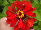 Picture 025