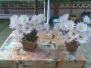 Imag047