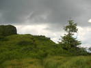 DSCF6146
