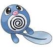 060poliwag
