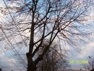 100_7549