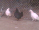 Imag019