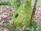 DSCF5313