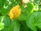 Picture 120