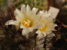 DSC09597