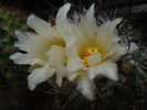 DSC01904