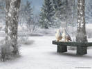 backgroundwinter copy