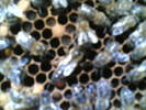 05012006(002)