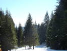 DSC02846