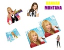 hannah_montana-3257