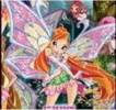 winx (3)