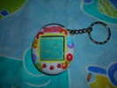 family001zw6