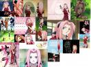 sakura haruno