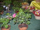P1020555
