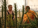 DSC01986