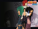 SaSuke & Echipa lui