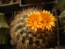 DSC03226