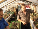Fabian Ladislav