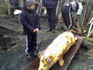 18-12-06_1257_edited