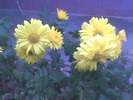 Imag047