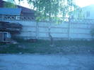 P1060071