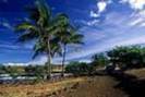 hawaiiul