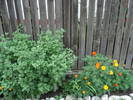 DSC09700