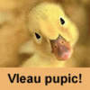 vleau-pupic