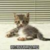 RTQQOAKKMENBWUUREVP