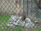 Picture 138