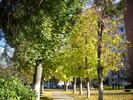 DSCI2283