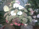 Imag025