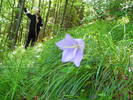 DSCF2002