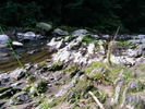 DSCF5098