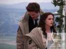 edward & bella