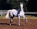 imagesCA9OXNNB
