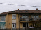 poze porumbei andrei 008