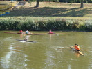 Concursul Cupa Mures 2009