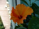 P1120616